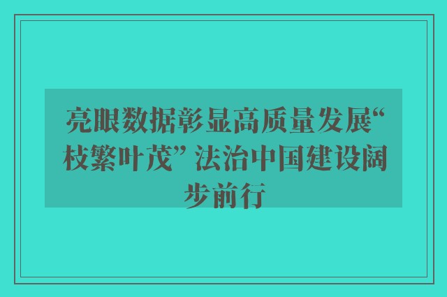 亮眼数据彰显高质量发展“枝繁叶茂” 法治中国建设阔步前行