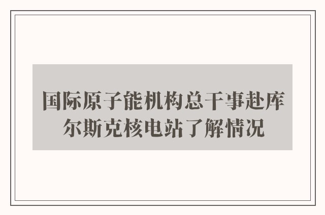 国际原子能机构总干事赴库尔斯克核电站了解情况