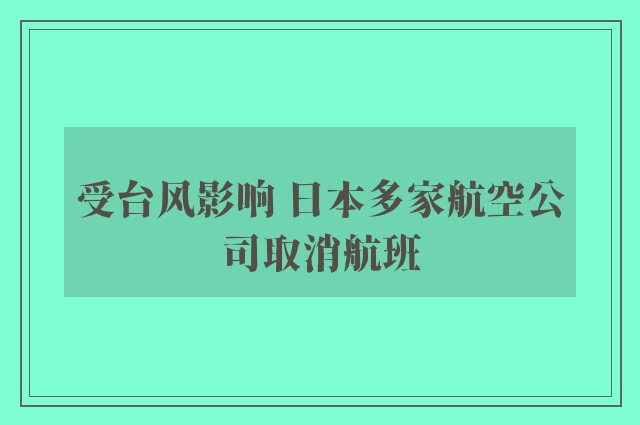 受台风影响 日本多家航空公司取消航班