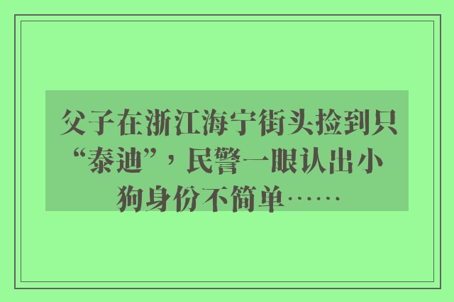 父子在浙江海宁街头捡到只“泰迪”，民警一眼认出小狗身份不简单……