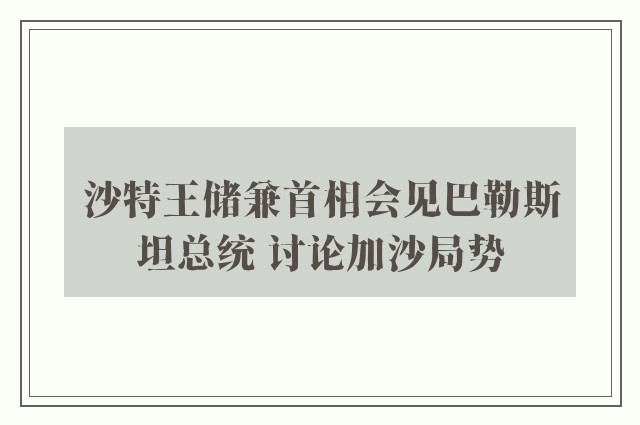 沙特王储兼首相会见巴勒斯坦总统 讨论加沙局势