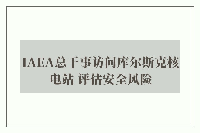 IAEA总干事访问库尔斯克核电站 评估安全风险