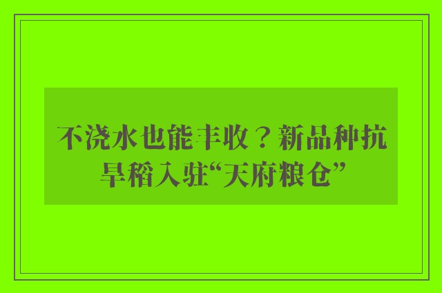 不浇水也能丰收？新品种抗旱稻入驻“天府粮仓”