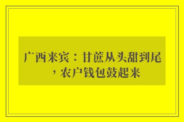 广西来宾：甘蔗从头甜到尾，农户钱包鼓起来