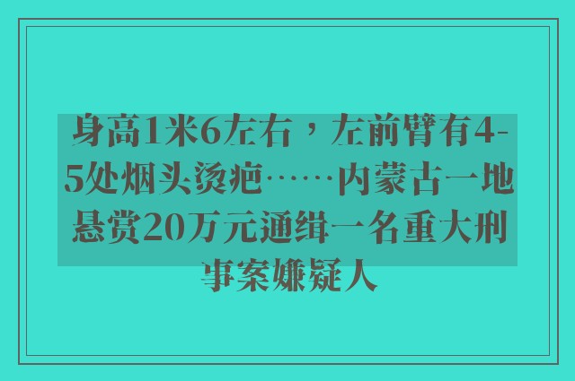 身高1米6左右，左前臂有4-5处烟头烫疤……内蒙古一地悬赏20万元通缉一名重大刑事案嫌疑人