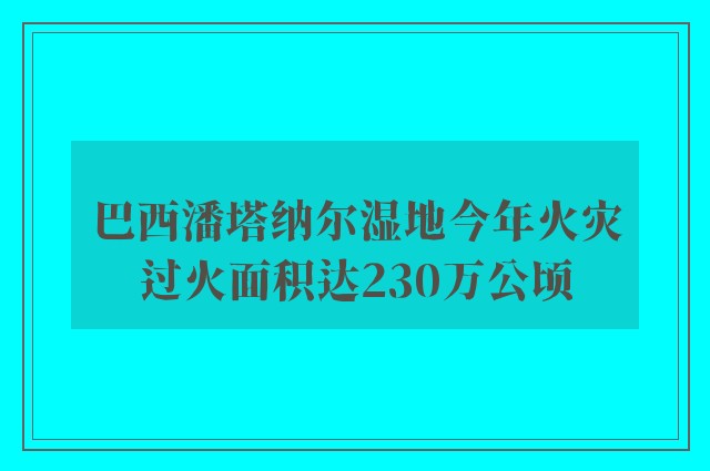 巴西潘塔纳尔湿地今年火灾过火面积达230万公顷