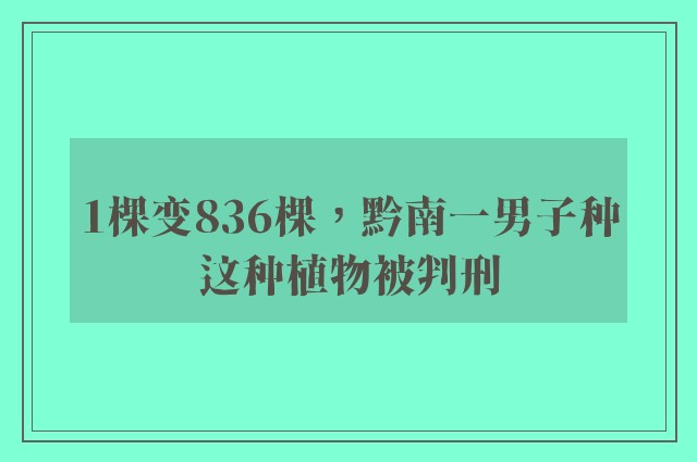 1棵变836棵，黔南一男子种这种植物被判刑