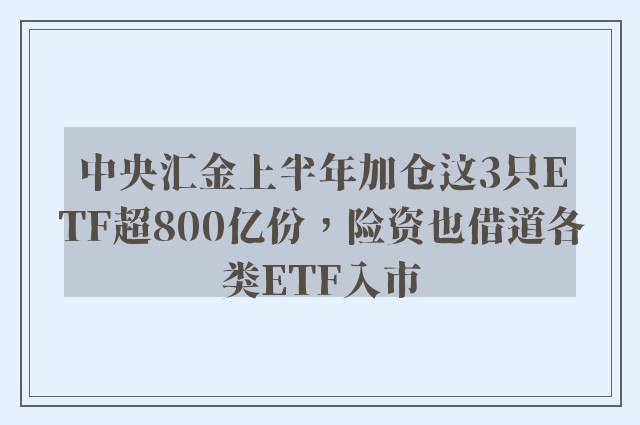 中央汇金上半年加仓这3只ETF超800亿份，险资也借道各类ETF入市