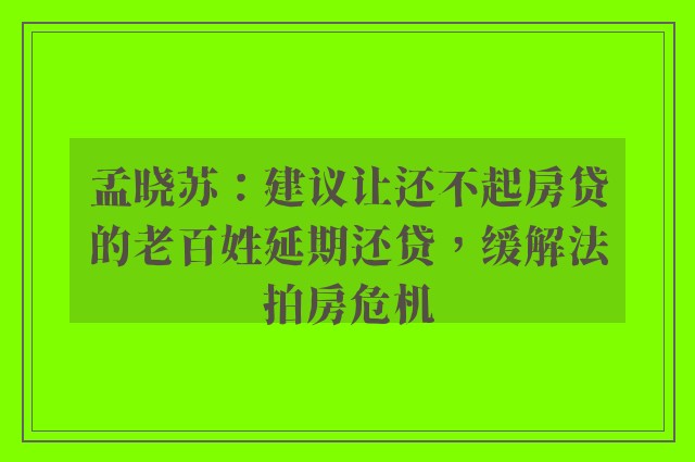 孟晓苏：建议让还不起房贷的老百姓延期还贷，缓解法拍房危机