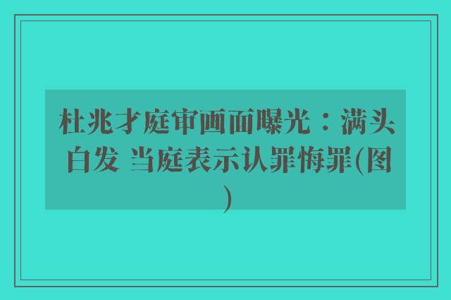 杜兆才庭审画面曝光：满头白发 当庭表示认罪悔罪(图)