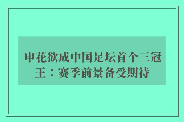 申花欲成中国足坛首个三冠王：赛季前景备受期待