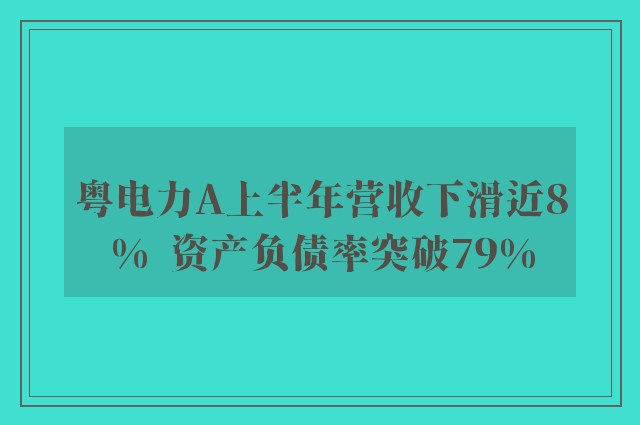 粤电力A上半年营收下滑近8%  资产负债率突破79%