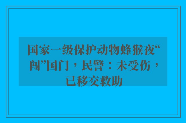 国家一级保护动物蜂猴夜“闯”国门，民警：未受伤，已移交救助