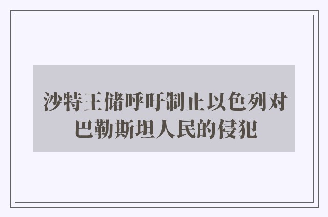 沙特王储呼吁制止以色列对巴勒斯坦人民的侵犯