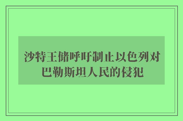 沙特王储呼吁制止以色列对巴勒斯坦人民的侵犯