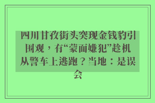 四川甘孜街头突现金钱豹引围观，有“蒙面嫌犯”趁机从警车上逃跑？当地：是误会