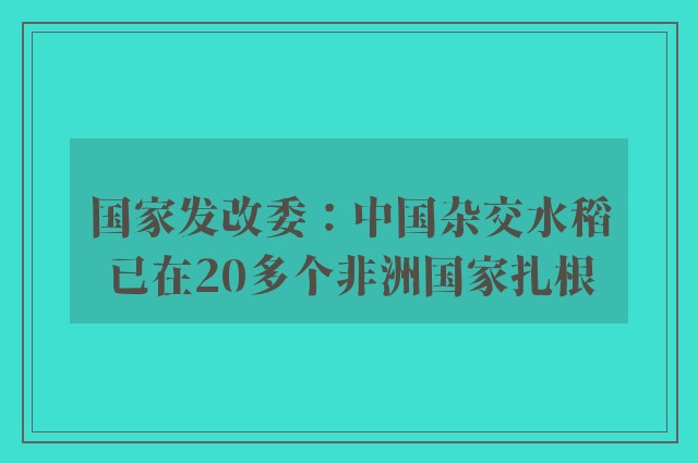 国家发改委：中国杂交水稻已在20多个非洲国家扎根