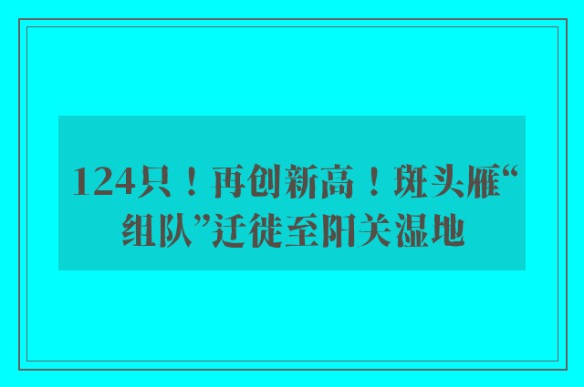 124只！再创新高！斑头雁“组队”迁徙至阳关湿地