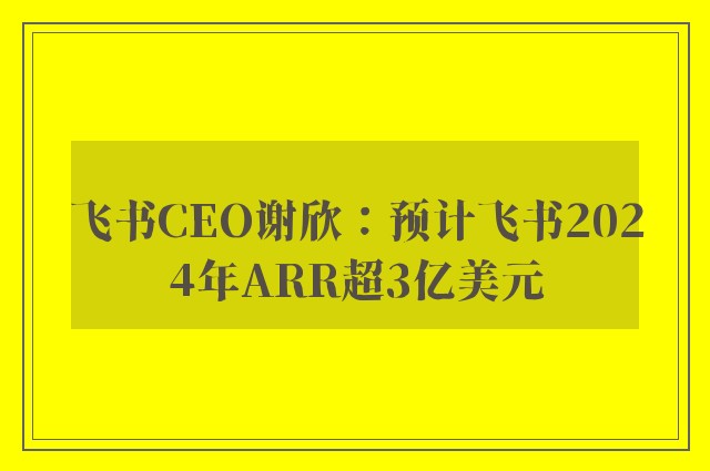 飞书CEO谢欣：预计飞书2024年ARR超3亿美元