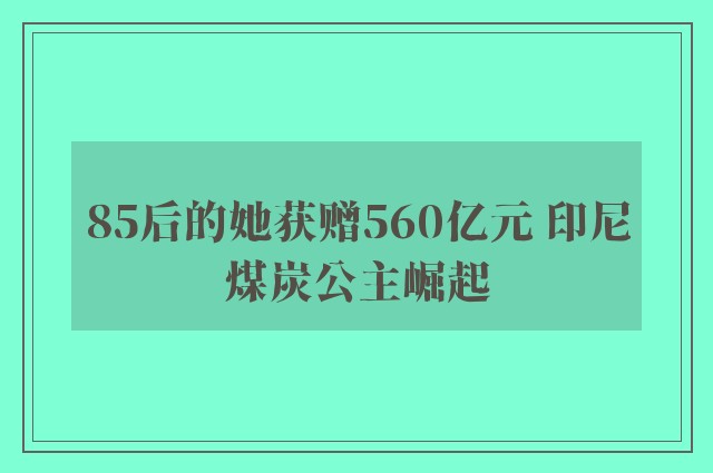 85后的她获赠560亿元 印尼煤炭公主崛起