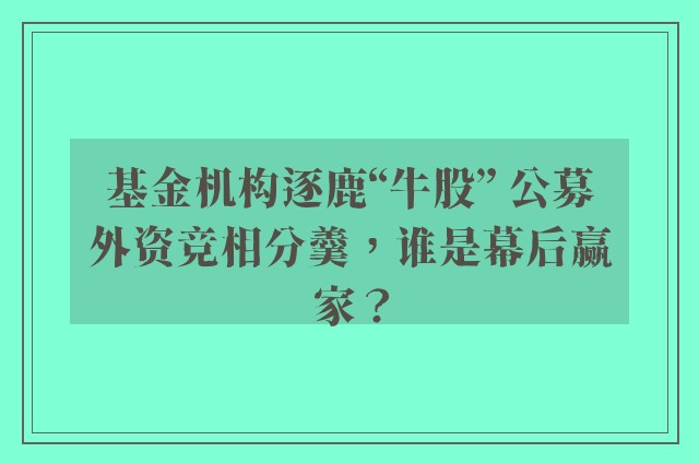 基金机构逐鹿“牛股” 公募外资竞相分羹，谁是幕后赢家？