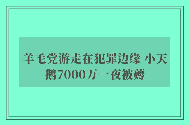 羊毛党游走在犯罪边缘 小天鹅7000万一夜被薅