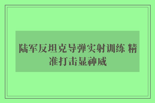 陆军反坦克导弹实射训练 精准打击显神威