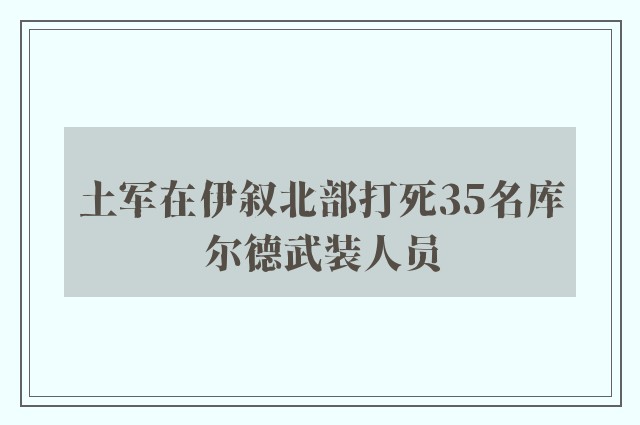 土军在伊叙北部打死35名库尔德武装人员