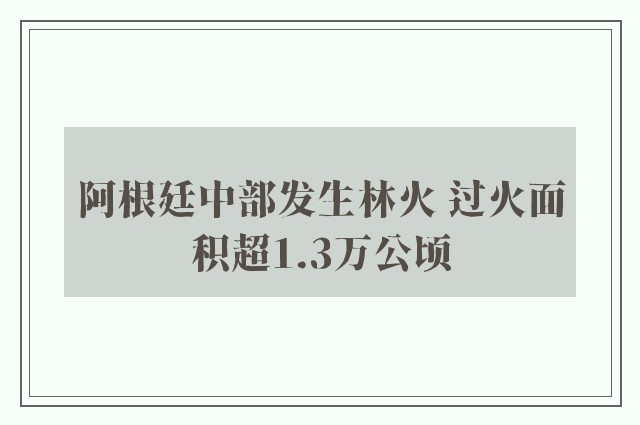 阿根廷中部发生林火 过火面积超1.3万公顷