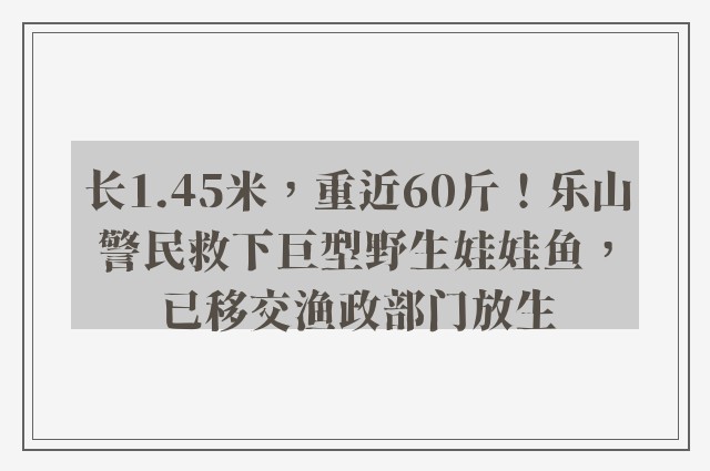 长1.45米，重近60斤！乐山警民救下巨型野生娃娃鱼，已移交渔政部门放生