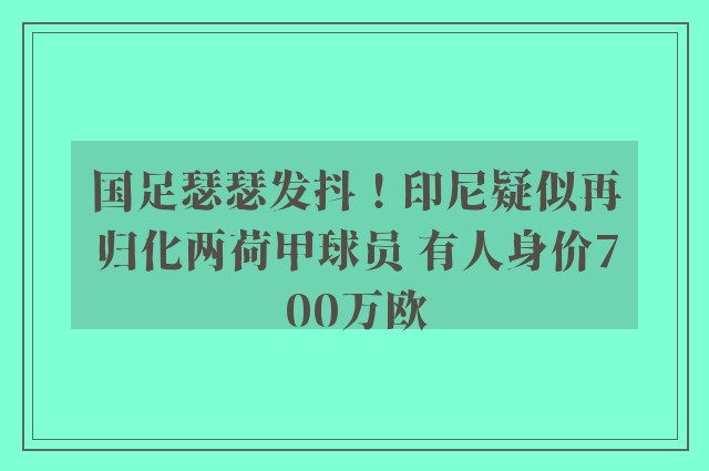 国足瑟瑟发抖！印尼疑似再归化两荷甲球员 有人身价700万欧