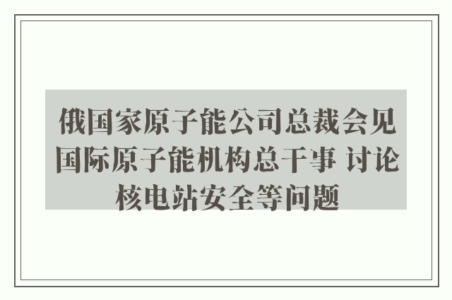 俄国家原子能公司总裁会见国际原子能机构总干事 讨论核电站安全等问题