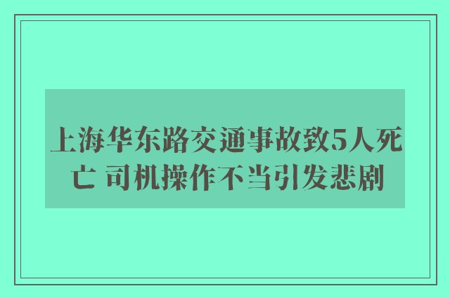 上海华东路交通事故致5人死亡 司机操作不当引发悲剧