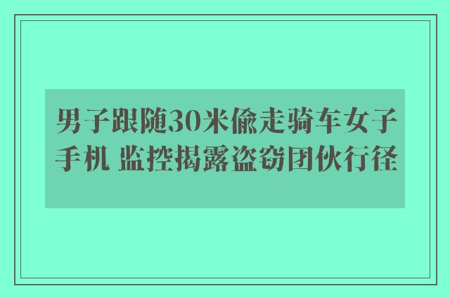 男子跟随30米偷走骑车女子手机 监控揭露盗窃团伙行径