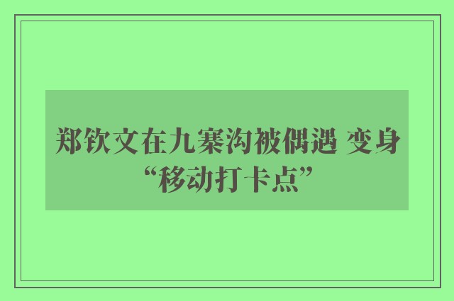 郑钦文在九寨沟被偶遇 变身“移动打卡点”