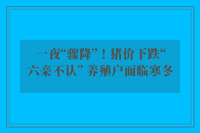 一夜“骤降”！猪价下跌“六亲不认” 养殖户面临寒冬