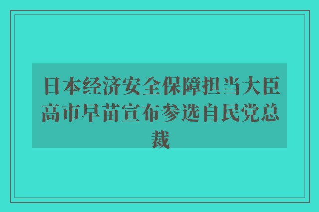 日本经济安全保障担当大臣高市早苗宣布参选自民党总裁