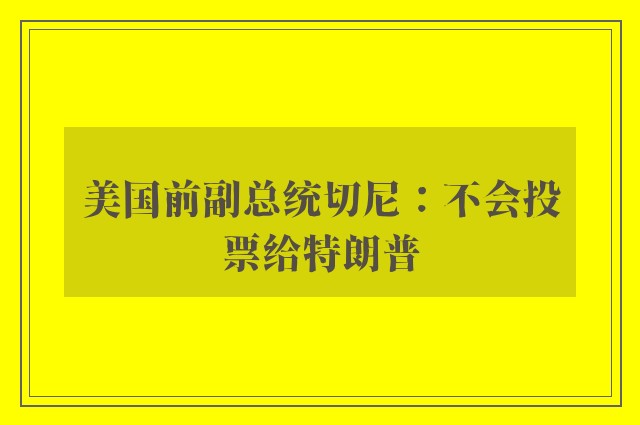 美国前副总统切尼：不会投票给特朗普