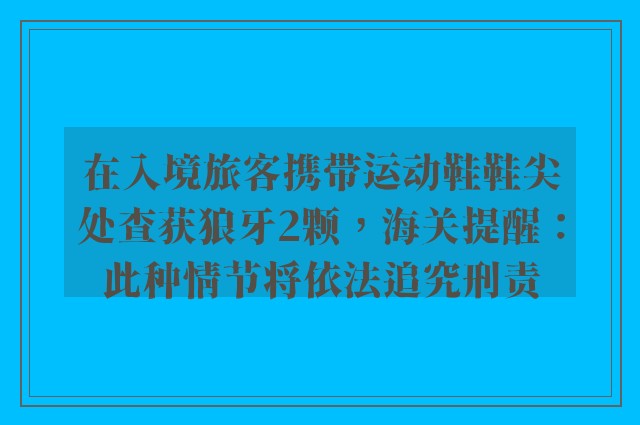 在入境旅客携带运动鞋鞋尖处查获狼牙2颗，海关提醒：此种情节将依法追究刑责