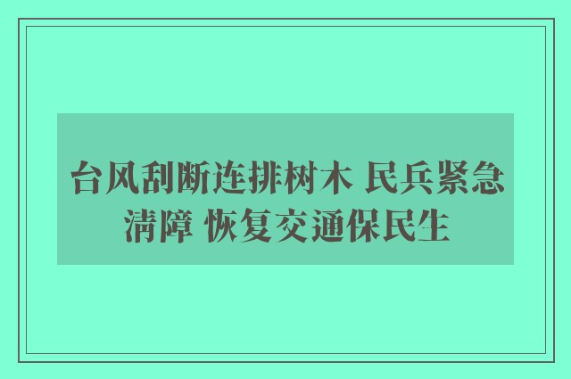 台风刮断连排树木 民兵紧急清障 恢复交通保民生