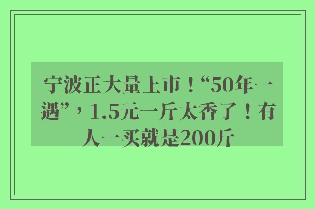 宁波正大量上市！“50年一遇”，1.5元一斤太香了！有人一买就是200斤