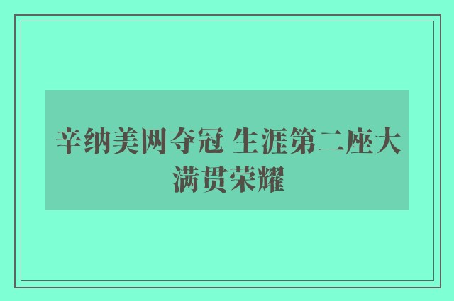 辛纳美网夺冠 生涯第二座大满贯荣耀