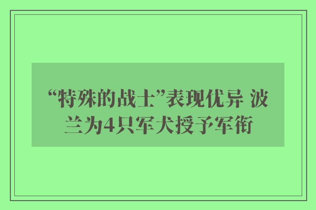 “特殊的战士”表现优异 波兰为4只军犬授予军衔