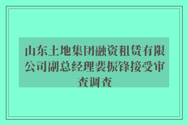 山东土地集团融资租赁有限公司副总经理裴振锋接受审查调查