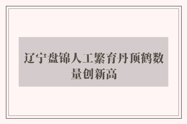 辽宁盘锦人工繁育丹顶鹤数量创新高