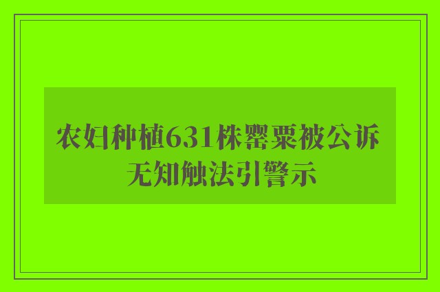 农妇种植631株罂粟被公诉 无知触法引警示