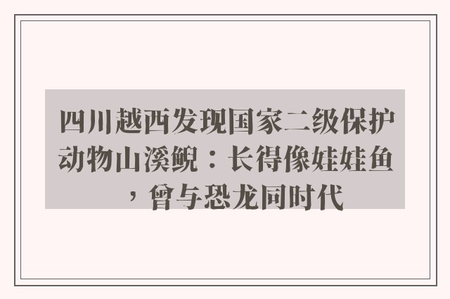 四川越西发现国家二级保护动物山溪鲵：长得像娃娃鱼，曾与恐龙同时代