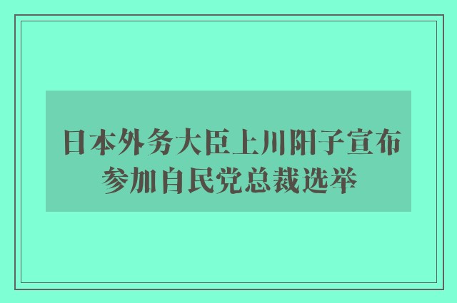 日本外务大臣上川阳子宣布参加自民党总裁选举