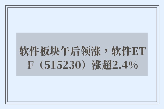 软件板块午后领涨，软件ETF（515230）涨超2.4%