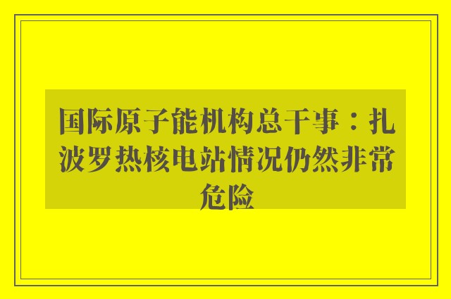 国际原子能机构总干事：扎波罗热核电站情况仍然非常危险